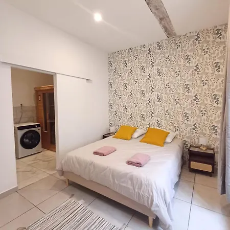 Apartment T2 Cosy Avec Sauna Prive & Cour En Plein Coeur De La *